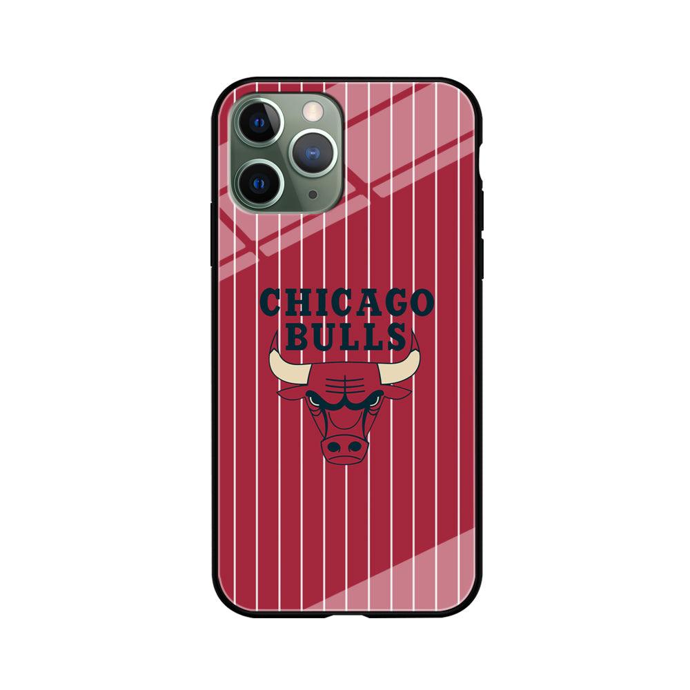 Chicago Bulls Extension of Passion iPhone 11 Pro Case-Oxvistore