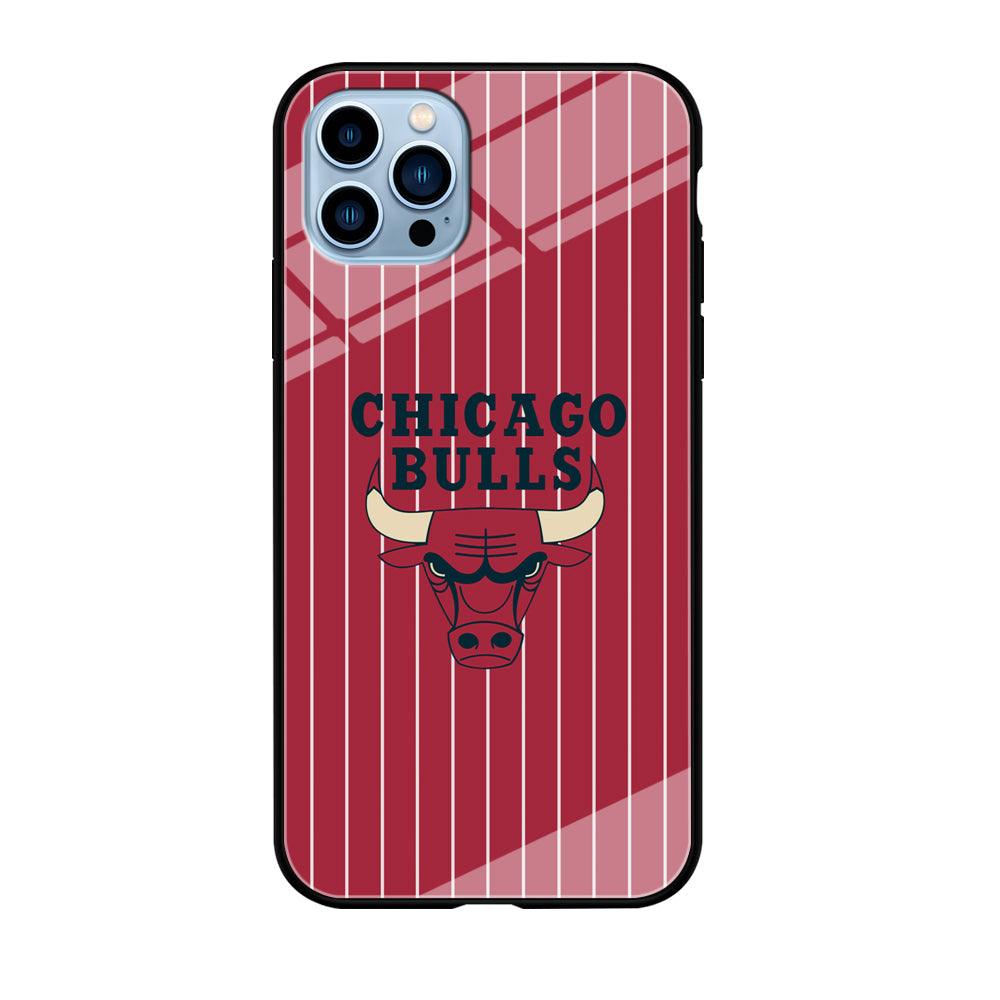 Chicago Bulls Extension of Passion iPhone 12 Pro Max Case-Oxvistore