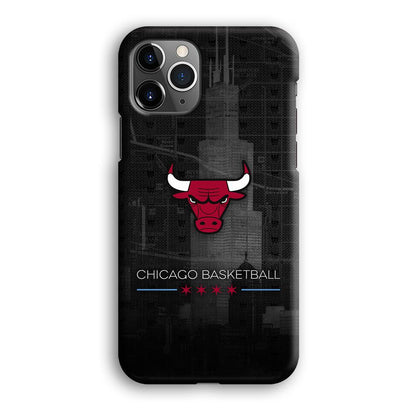 Chicago Bulls Soul of The City iPhone 12 Pro Max Case-Oxvistore