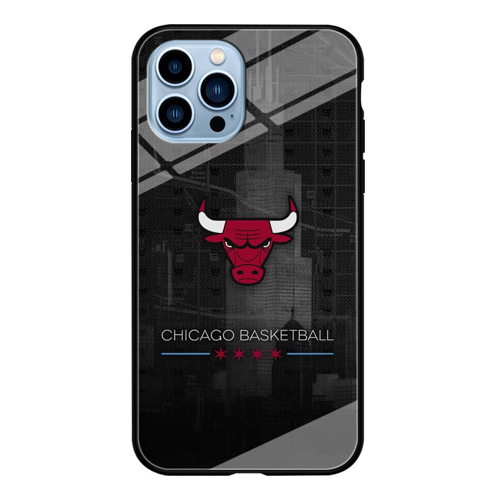 Chicago Bulls Soul of The City iPhone 14 Pro Max Case-Oxvistore