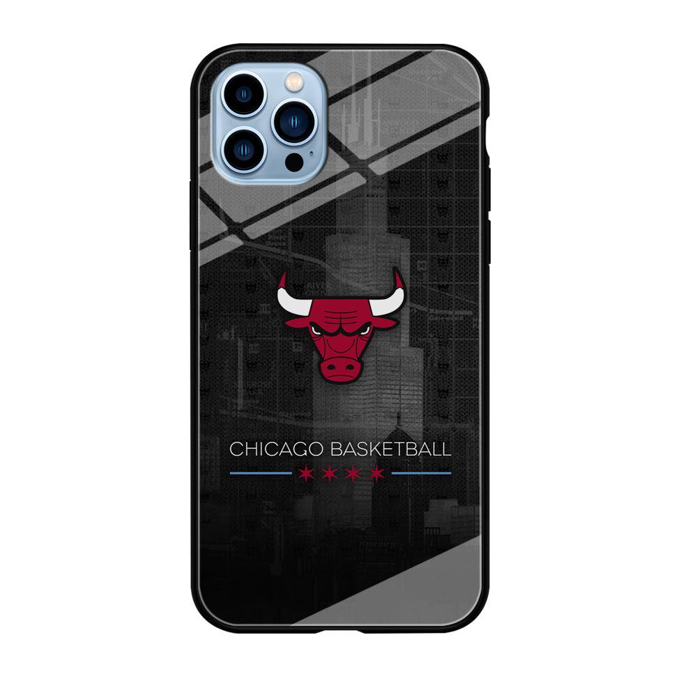 Chicago Bulls Soul of The City iPhone 12 Pro Max Case-Oxvistore