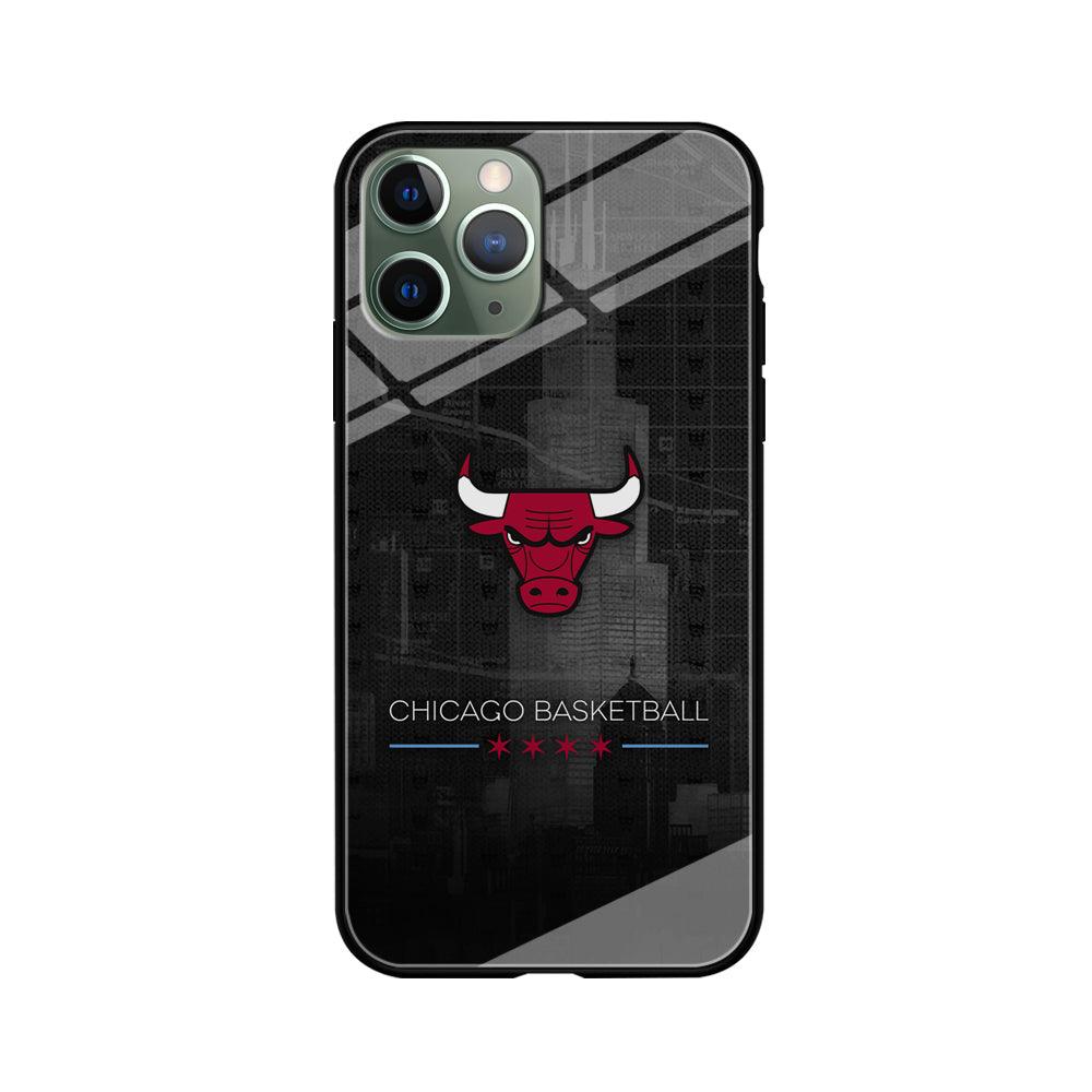 Chicago Bulls Soul of The City iPhone 11 Pro Case-Oxvistore