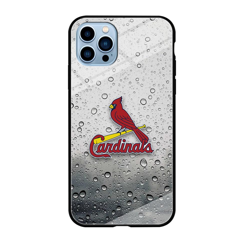 St Louis Cardinals Sticker on Rainy Day iPhone 12 Pro Max Case-Oxvistore