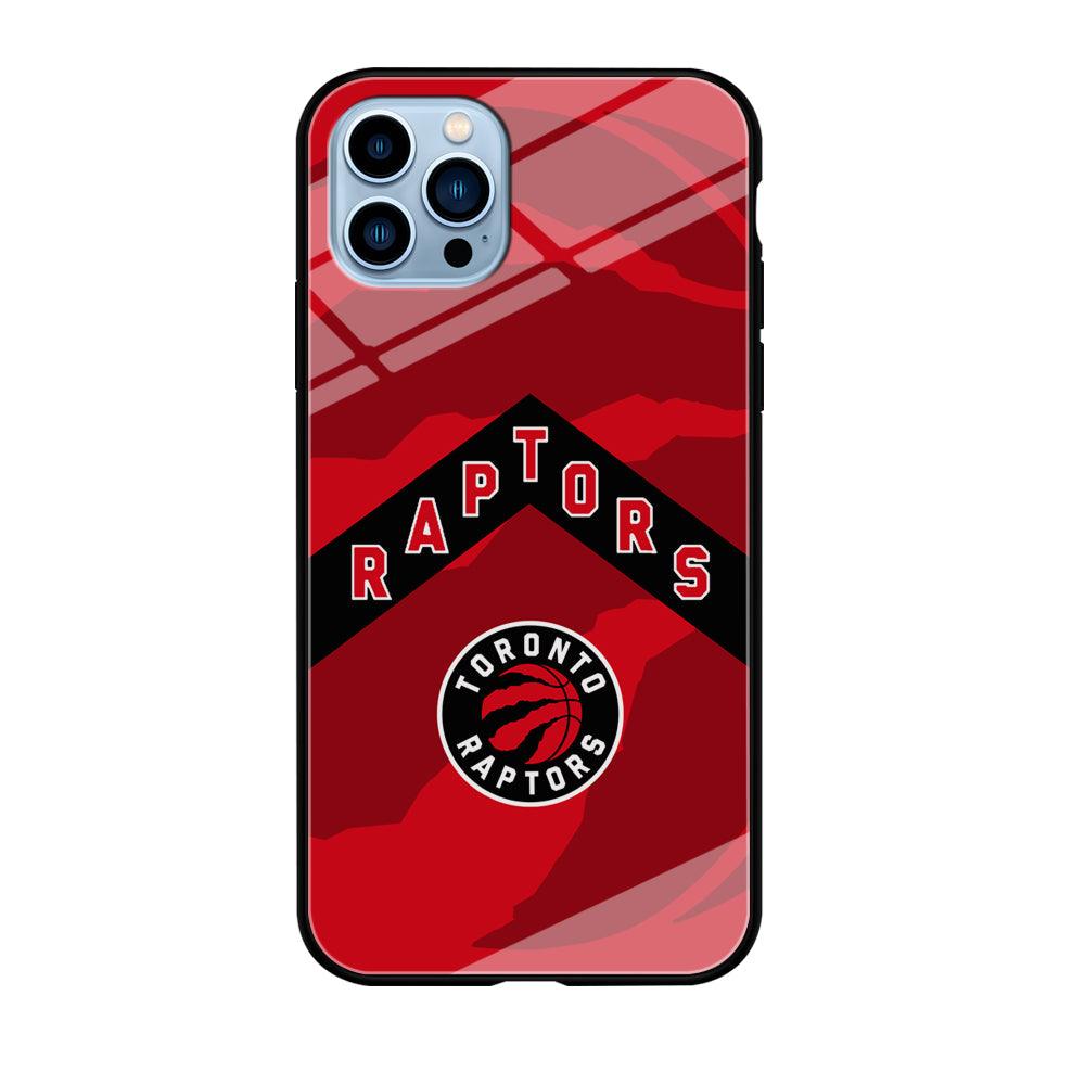 Toronto Raptors Black Triangle iPhone 12 Pro Case-Oxvistore